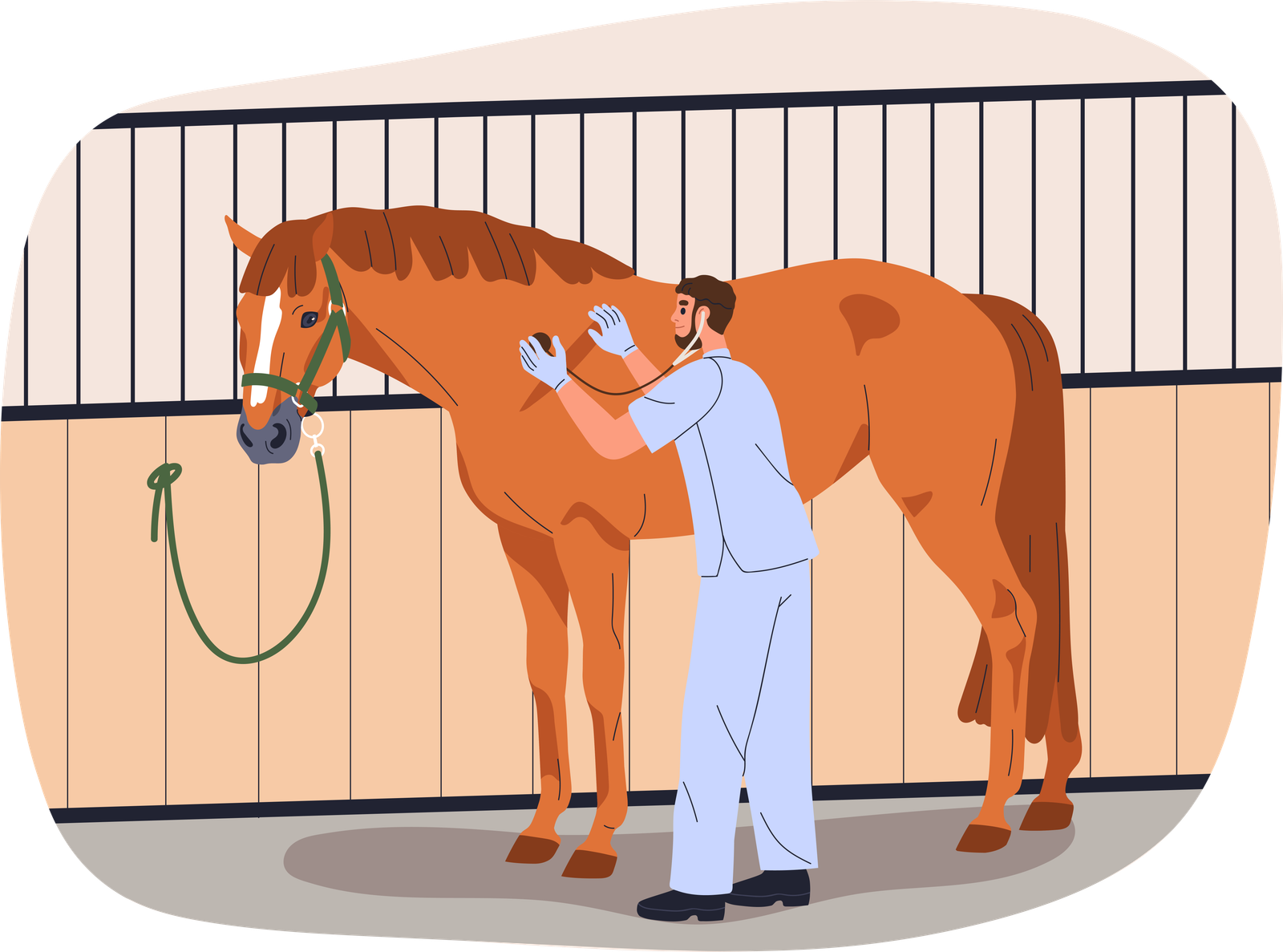Equine Care Services